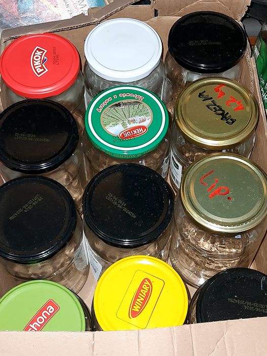 Słoiki z nakrętkami 1 l. słoje słoiczki gratis