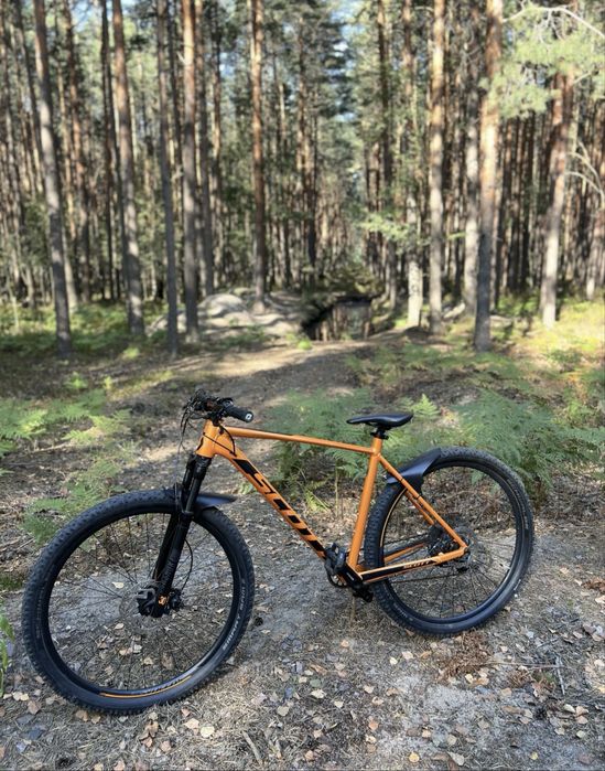 Scott scale 970 2020
