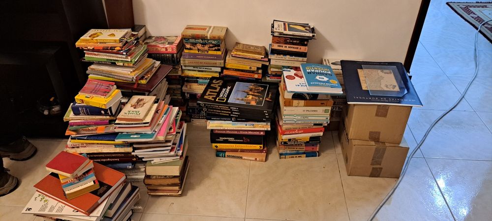 Lote de livros diversos
