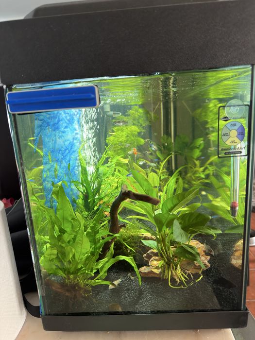 Aquario 120L