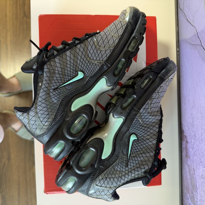 Кроссовки мужские Nike Air Max Plus Grey FB3351-001