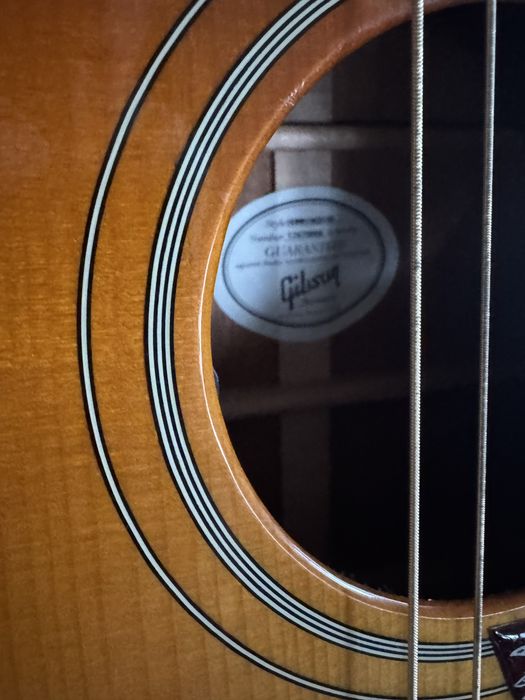 Gibson hummingbird