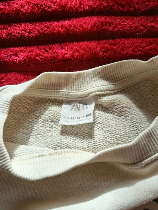 Кофта Zara на дівчину.