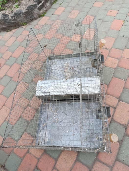 Клітка для гризунів білка дегу, кролики, хом'як, шиншила