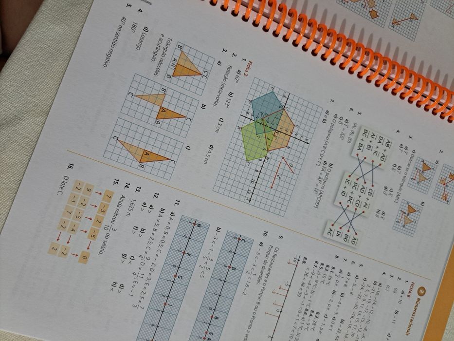 Caderno de atividades Matematicamente falando 8 ano