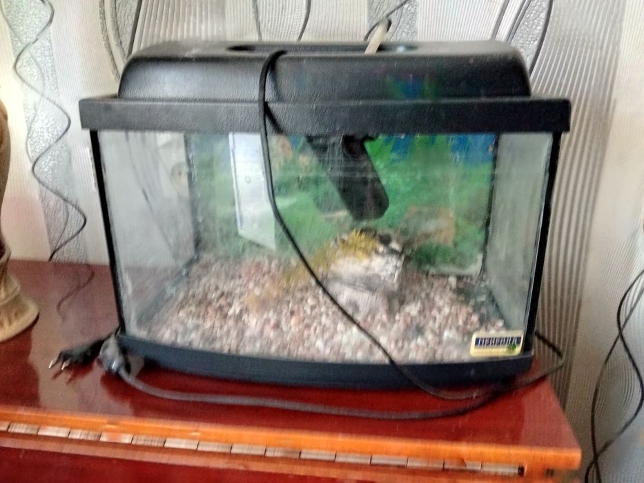 Продам акваріум для рибок
