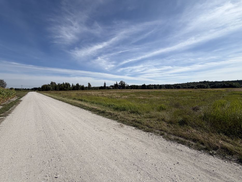 Działka na sprzedaż, warunki zabudowy, Chełmiński Park Krajobrazowy, w pobliżu jeziora 4,67ha - Widok 4