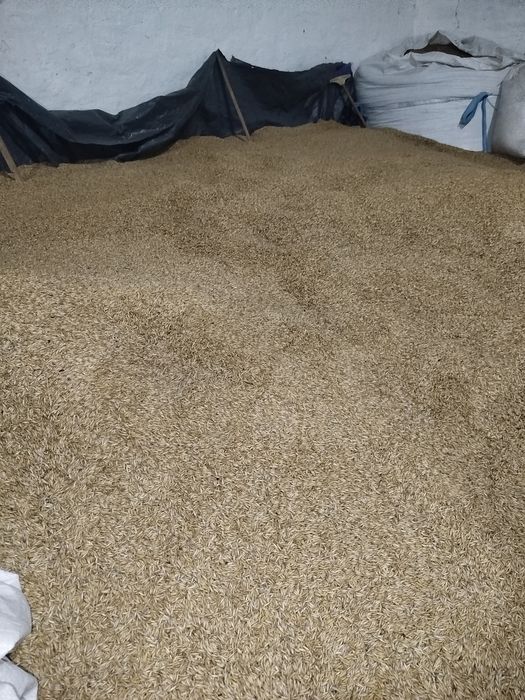 Продам овес.
Ціна договірна
Самовивіз