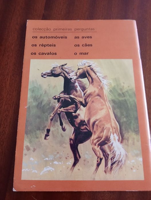 Primeiras perguntas sobre cavalos