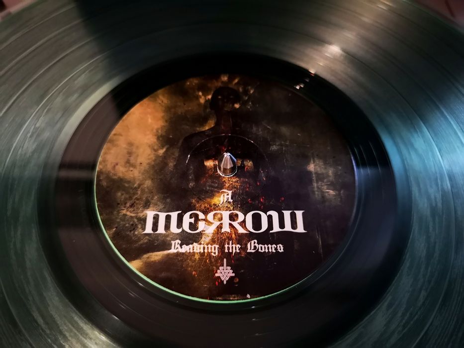 Вінілова платівка Reading the Bones від Keith Merrow