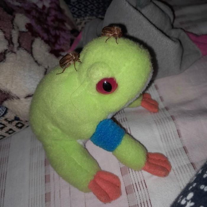 Шукаю таку іграшку