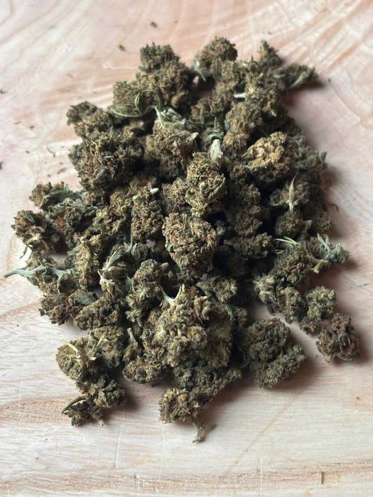 susz konopny CBD / Kwiaty CBD Premium – Cytrusowa Supernowa