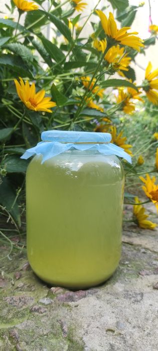 Домашній яблучний оцет. Домашний яблочный уксус.домашній оцет.ягідний.