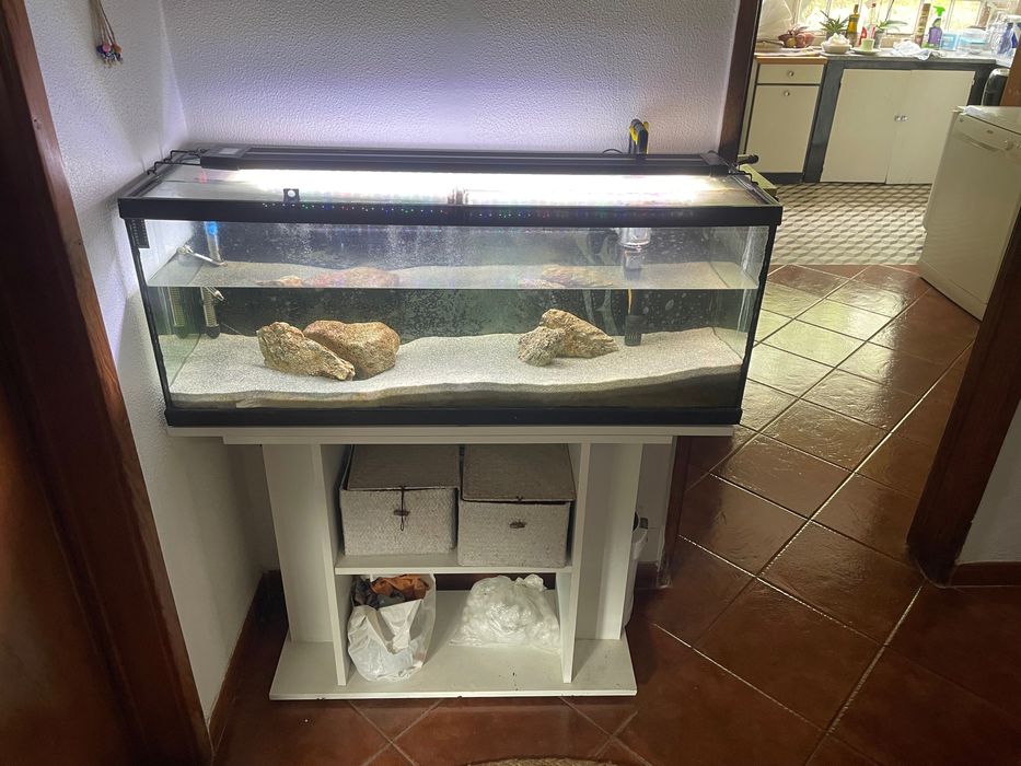 Aquário completo