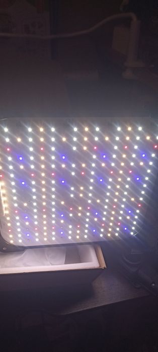 LED фітолампа 60W для розсади та рослин Повний спектр 256 LED / Нова