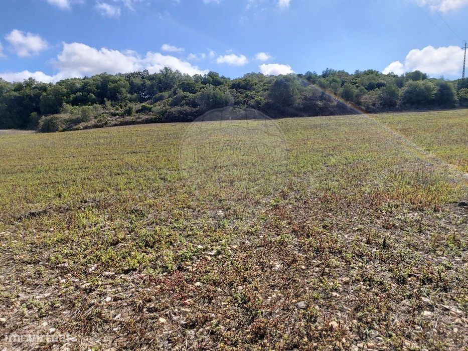 Terreno  para venda