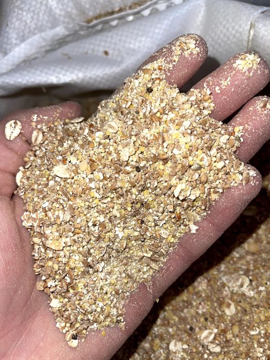 Комбікорм для собак Лакі