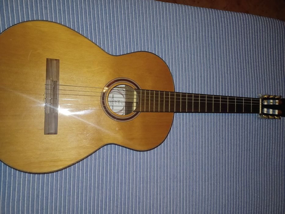 Guitarra APC modelo 5C