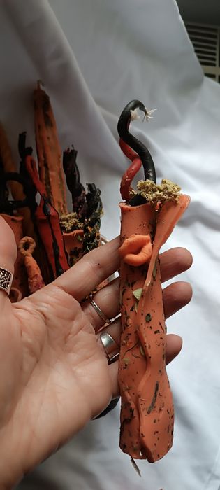 Програмні свічки з травами.