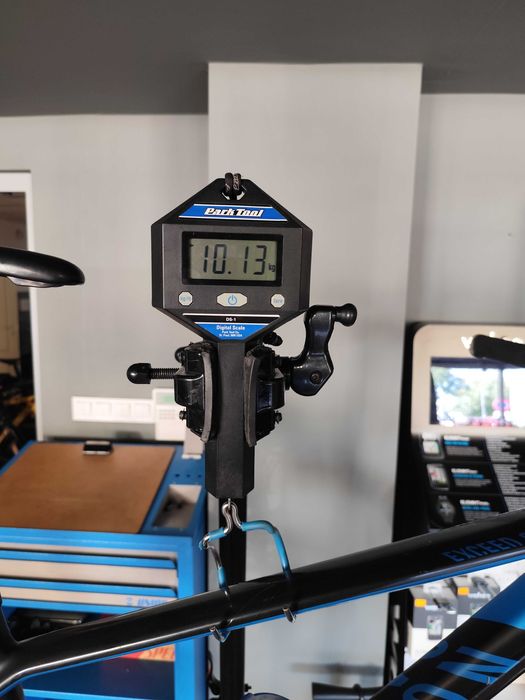 Canyon Exceed M 2019