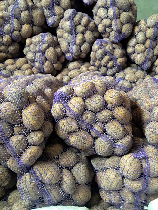 Картопля коннект .