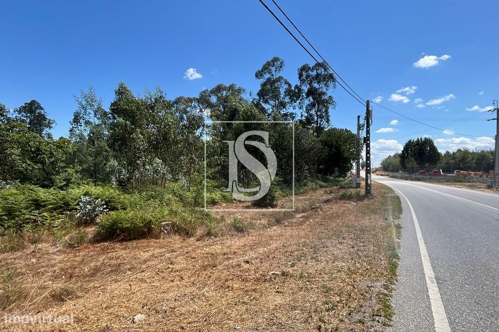 Terreno  Venda em Vilar de Besteiros e Mosteiro de Fráguas,Tondela