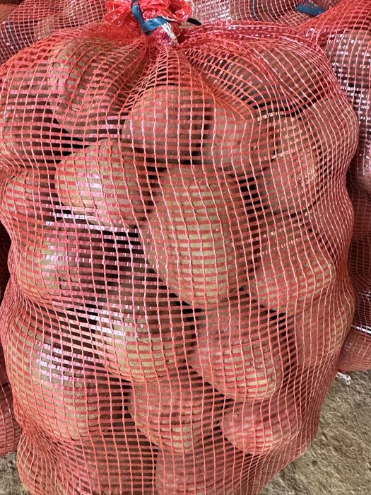 Batatas vermelhas ou brancas