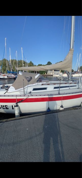 Парусная яхта Mamba 31