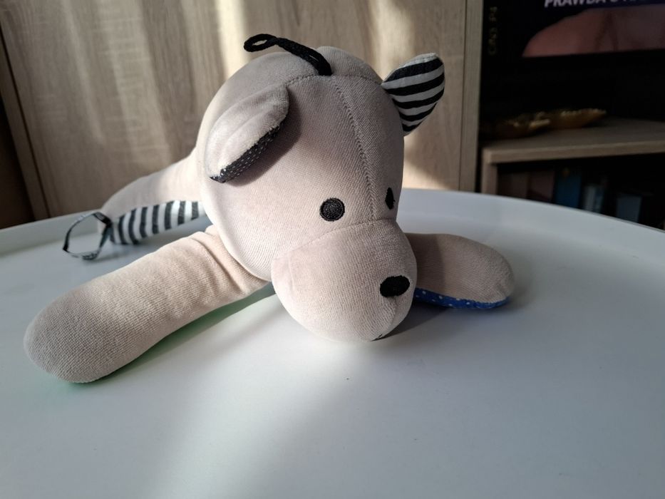 Miś whisbear szumiś