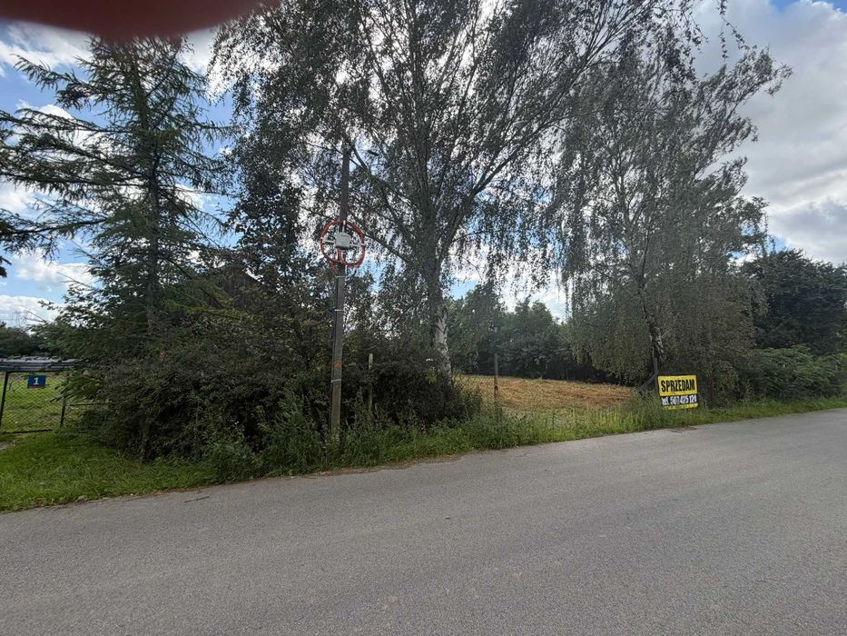 Działka budowlana 1617 m² Bieniewo-wieś, 37km od Warszawy - Widok 2