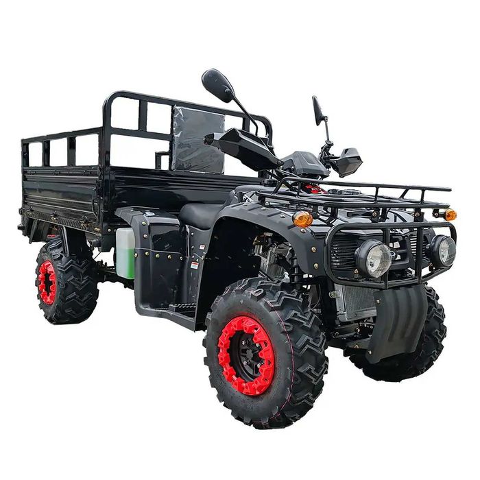 Квадроцикл вантажний FORTE ATV-250BS-T