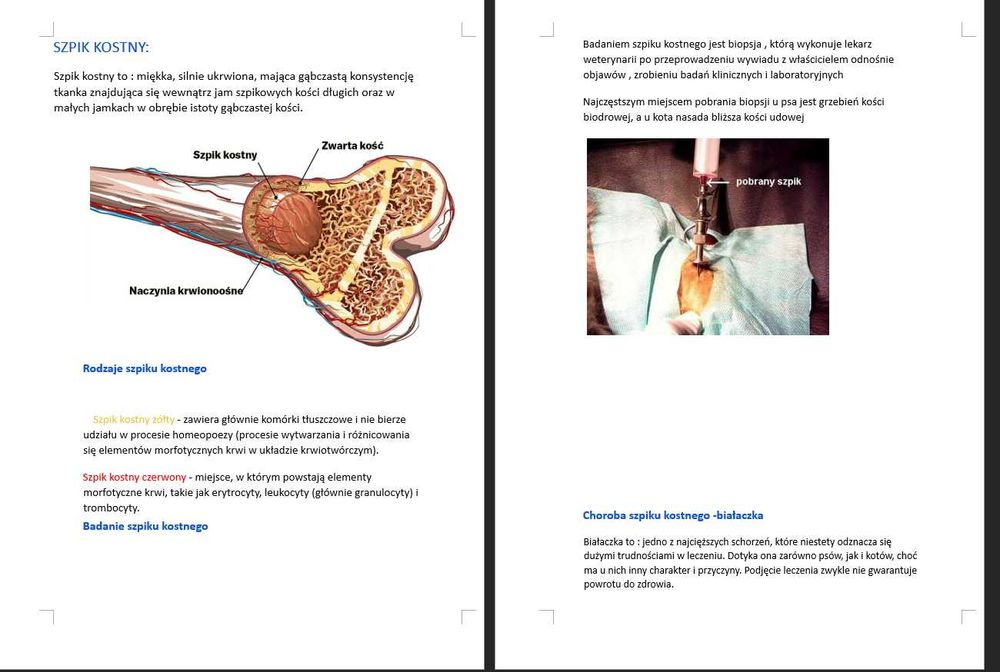 PAKIET notatek technik weterynarii do Rol.11, ok.823str + Gratis