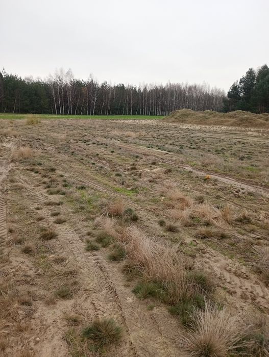 Sprzedam działki budowlane w gm. Orońsko