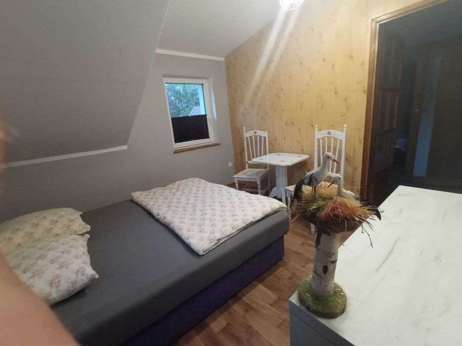 Domek nad jeziorem 8 os - północna Wielkopolska