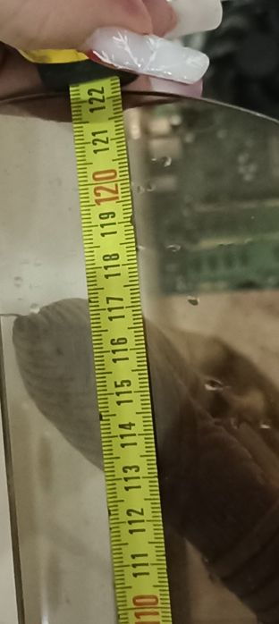 Conjunto hall de entrada