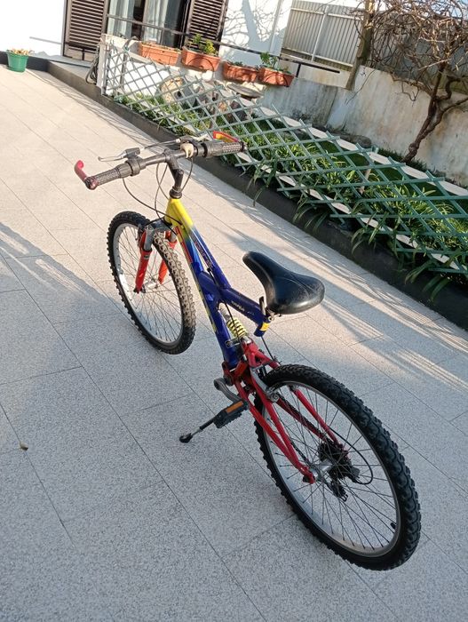 Bicicleta team spirit