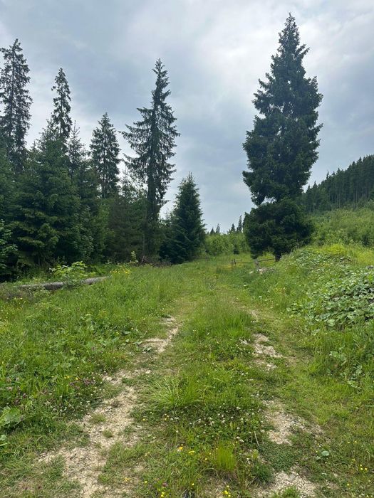 Продаж земельної ділянки 1 Га с.Поляниця Буковель