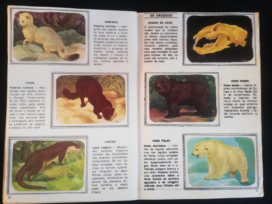 Caderneta completa Figurinhas de Animais