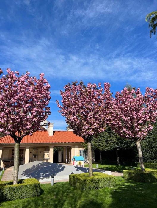 Особняк на 20-ти сотках! Закрытый кооператив! 11 ст.Б.Фонтана! 1A37