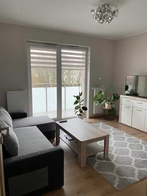 mieszkanie do wynajecia