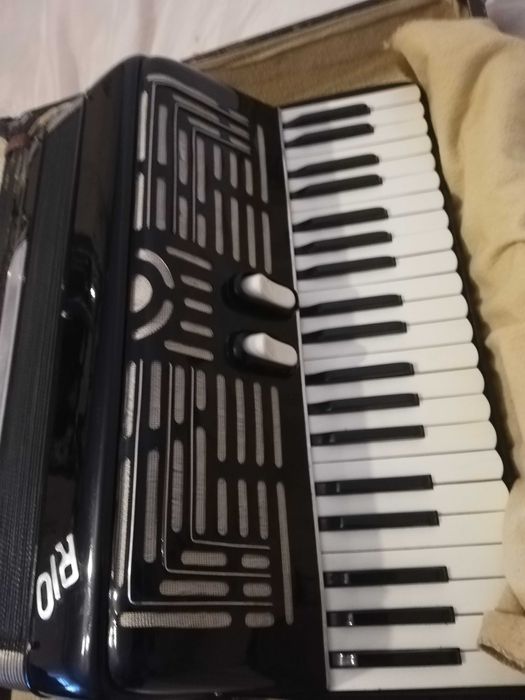 Włoski akordeon Rio
