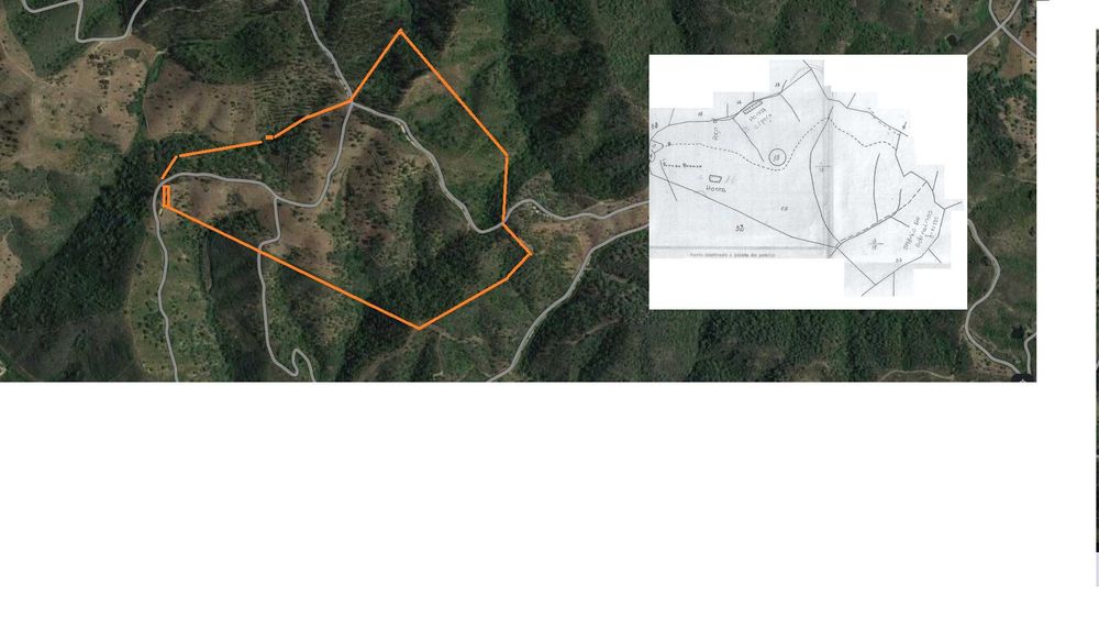 Terreno (Property) 24 Hect . Cortiça (Cork). Bx Alentejo. Algarve