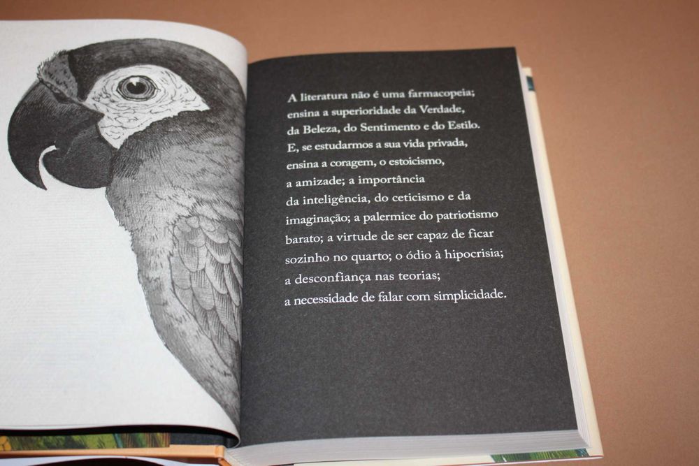 O Papagaio de Flaubert // Julian Barnes