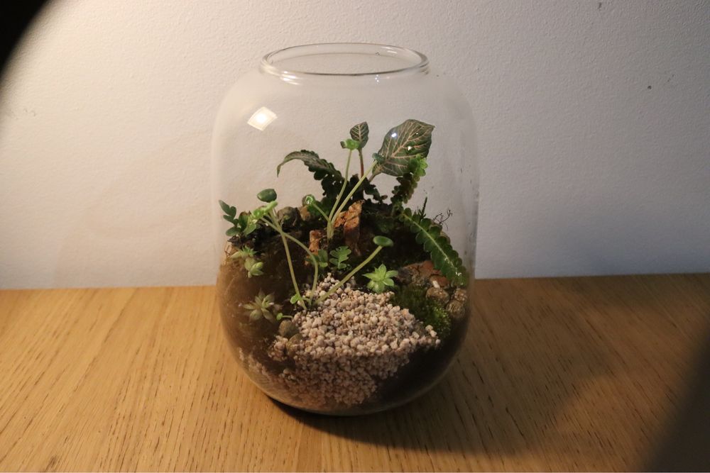 Vaso Micro GreenHouse