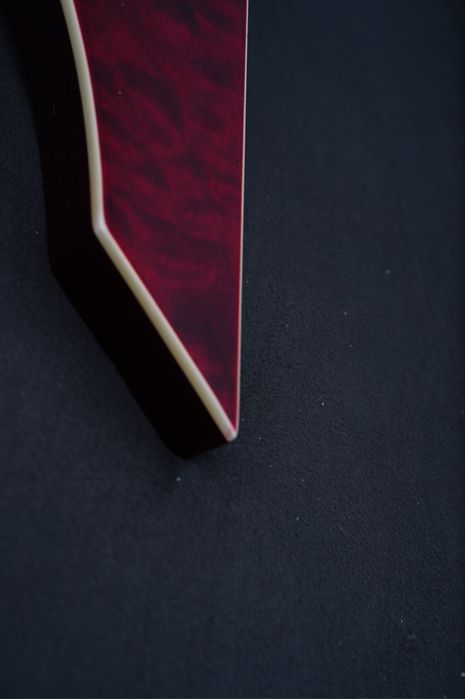 Esp ltd ninja 600 Michael Amott