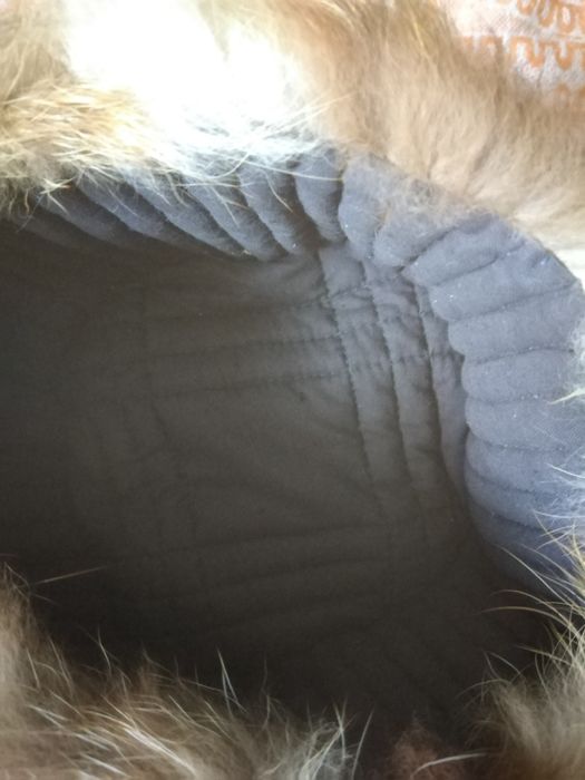 Шапка лисяча, нова