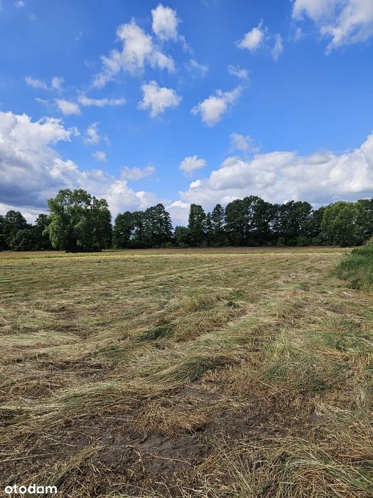 Działka budowlana 3055 m² z wydanymi warunkami zabudowy – Glinik - Widok 2