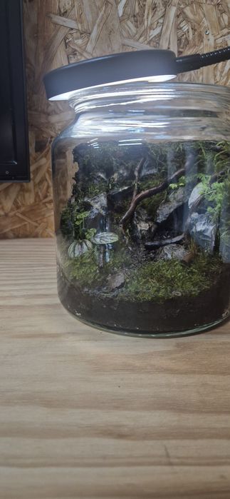 Pote/vaso de vidro terrario