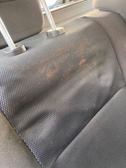 Limpeza e Higienizaçao