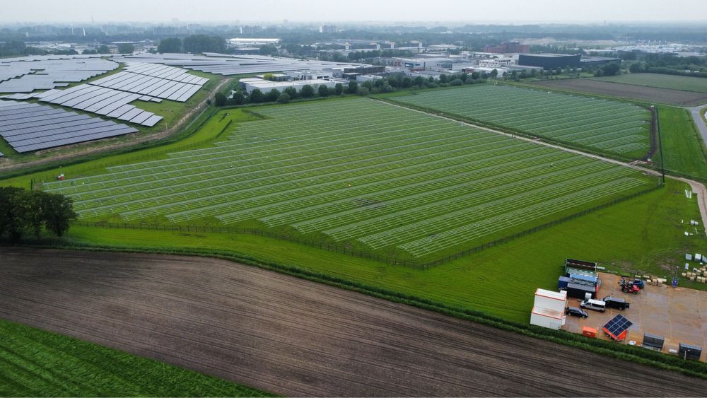 Kafarowanie farm fotowoltaicznych